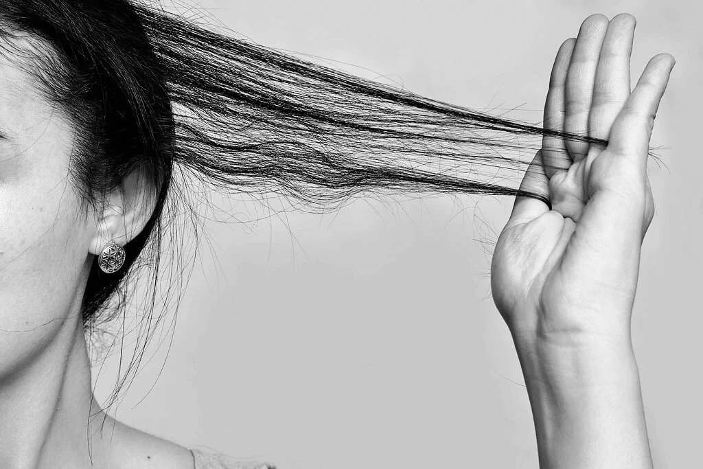 Regrowth