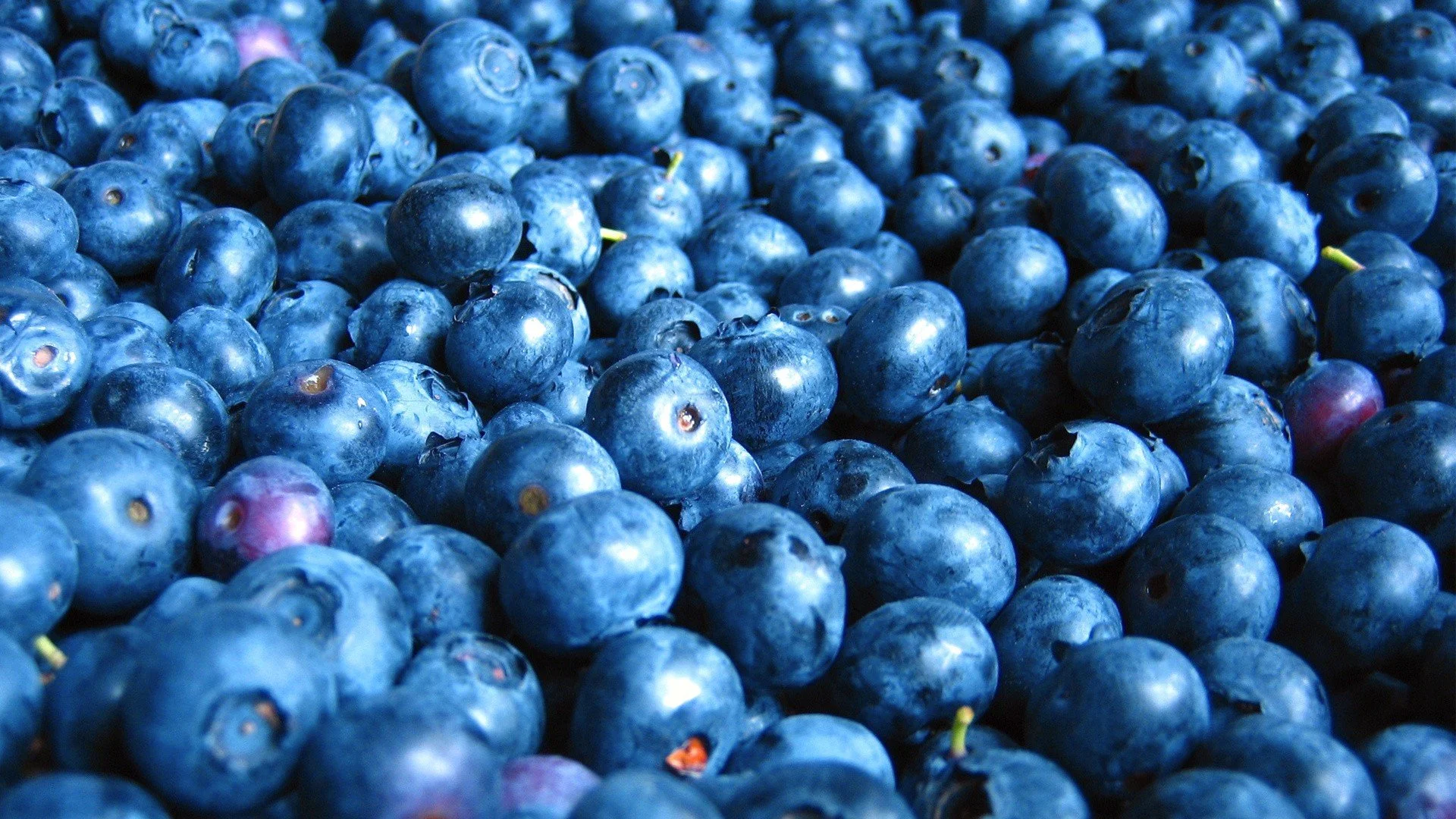 Blueberries