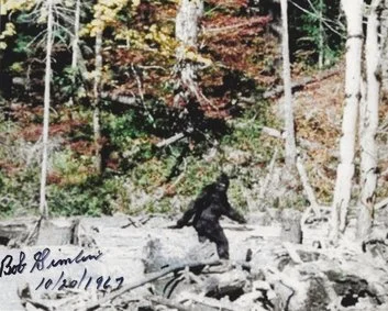 Alumni Spotlight: Mating Call by James Morena