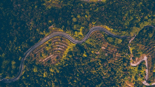 A curvy road.