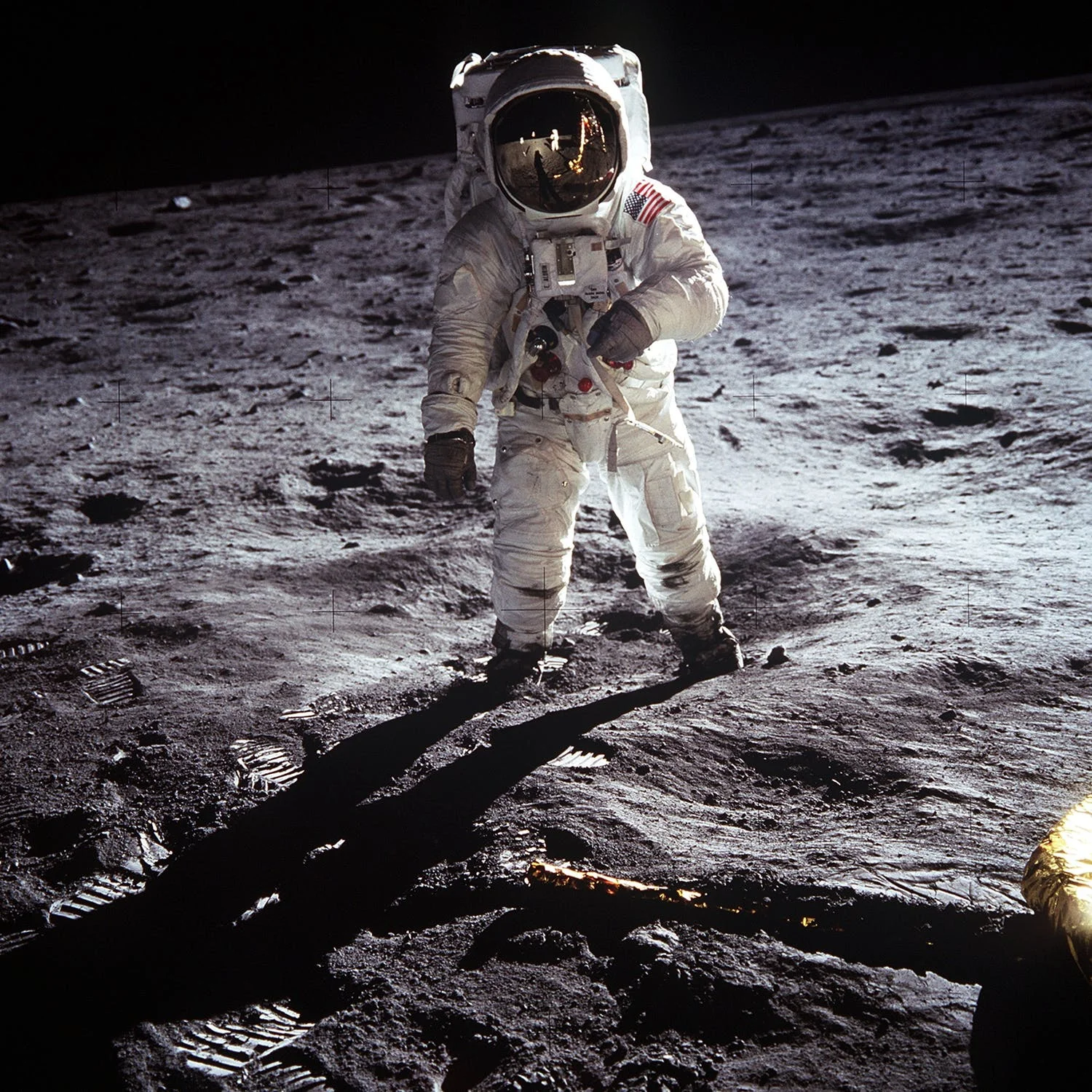 Apollo 11 Astronaut, Buzz Aldrin