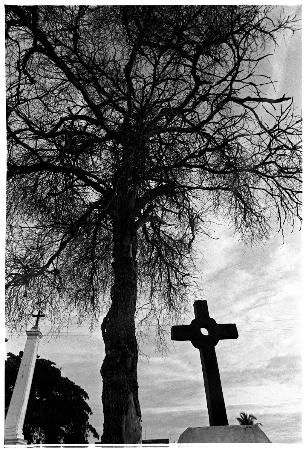 AUGUSTO DOS ANJOS 0012 X.jpg