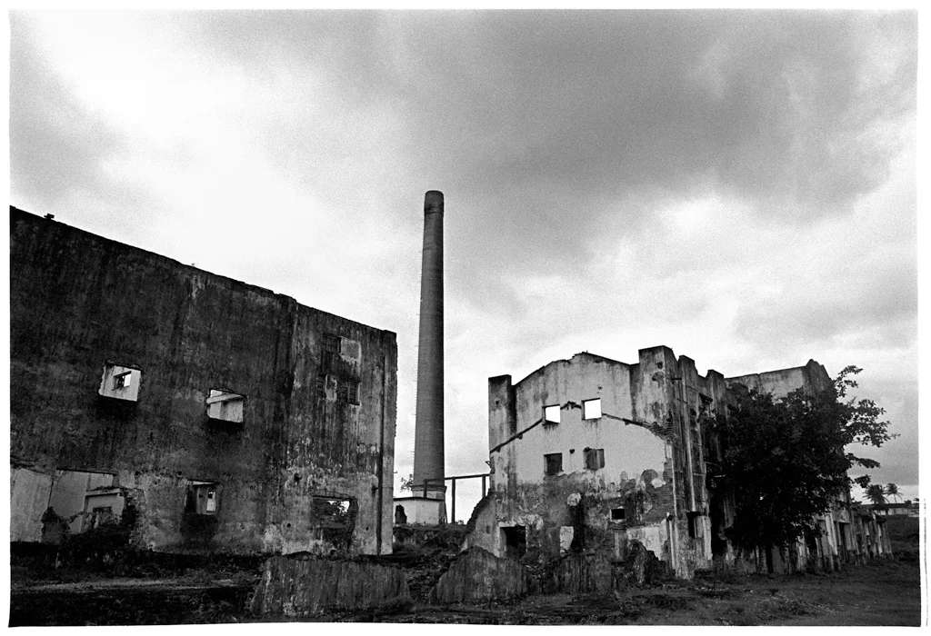 AUGUSTO DOS ANJOS 0023 X.jpg