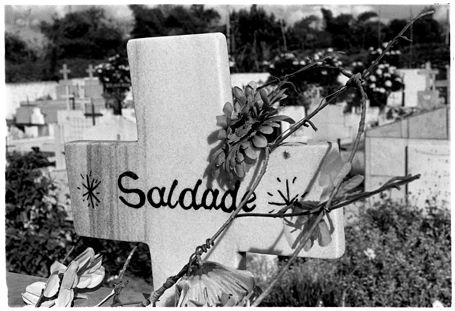 AUGUSTO DOS ANJOS 0035 X.jpg