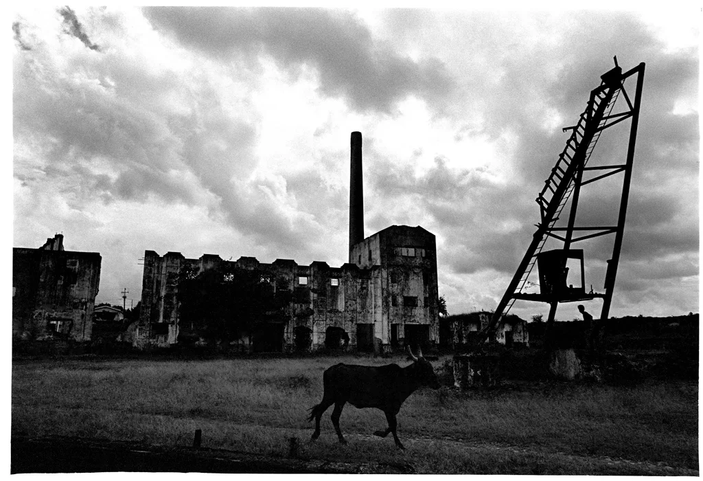 AUGUSTO DOS ANJOS 0040 X.jpg