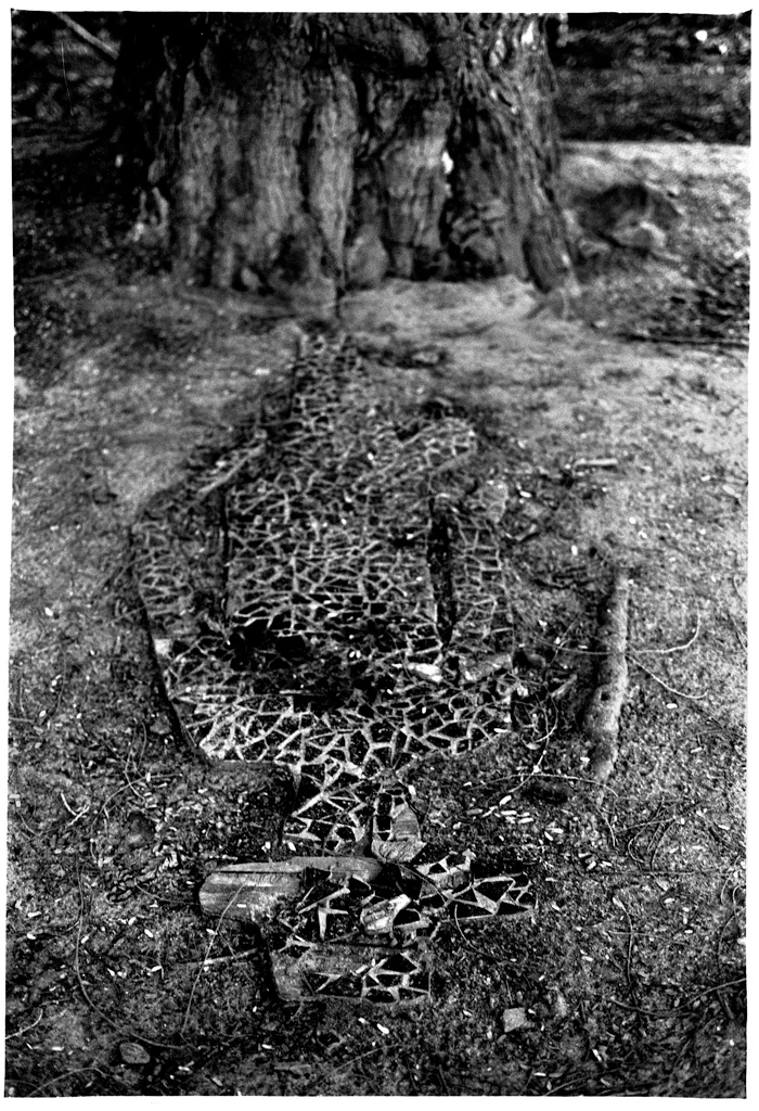 AUGUSTO DOS ANJOS 0047 X.jpg