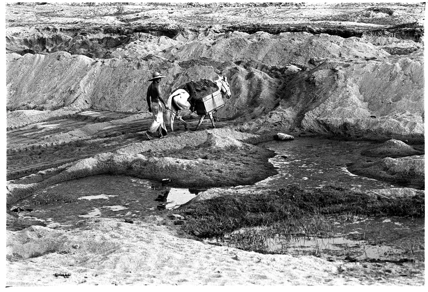 RIO PARAIBA 0169.jpg