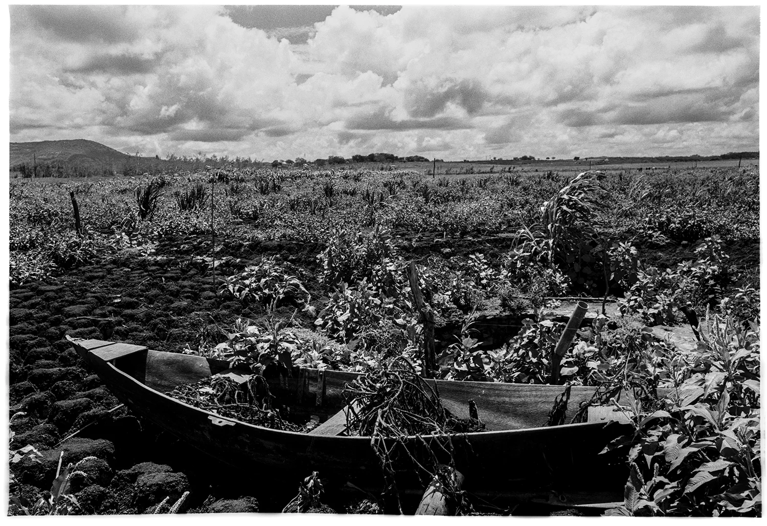 tratada_ (2 de 1).jpg