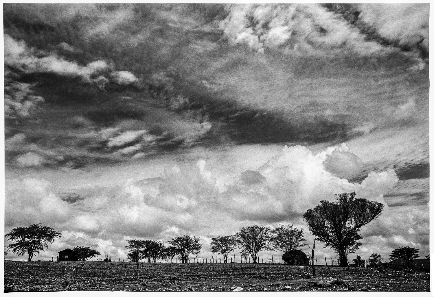 tratada_ (3 de 2).jpg