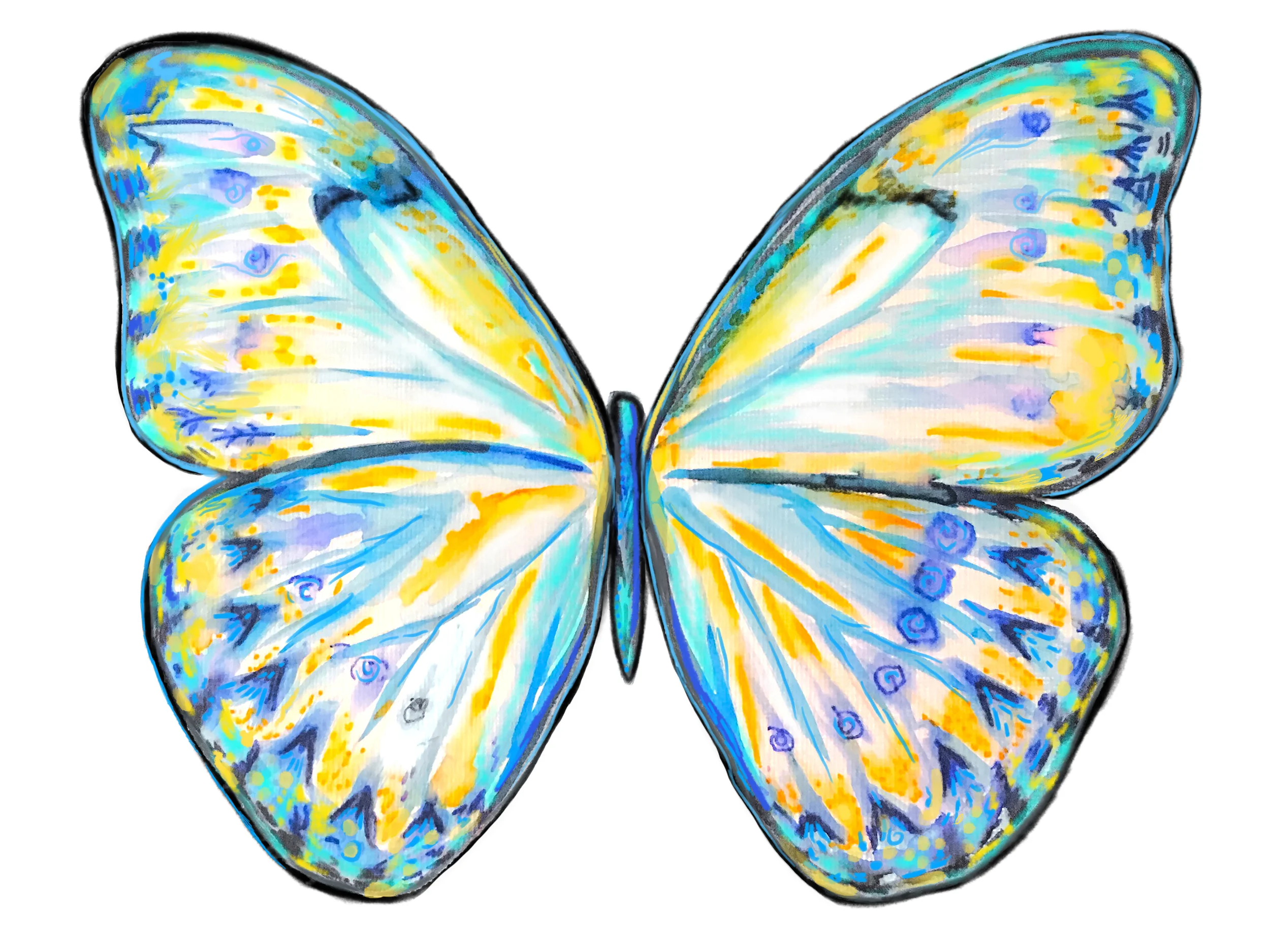 blue butterfly print.jpg