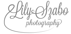 Beautiful wedding featuring the incredible Lily Zabo