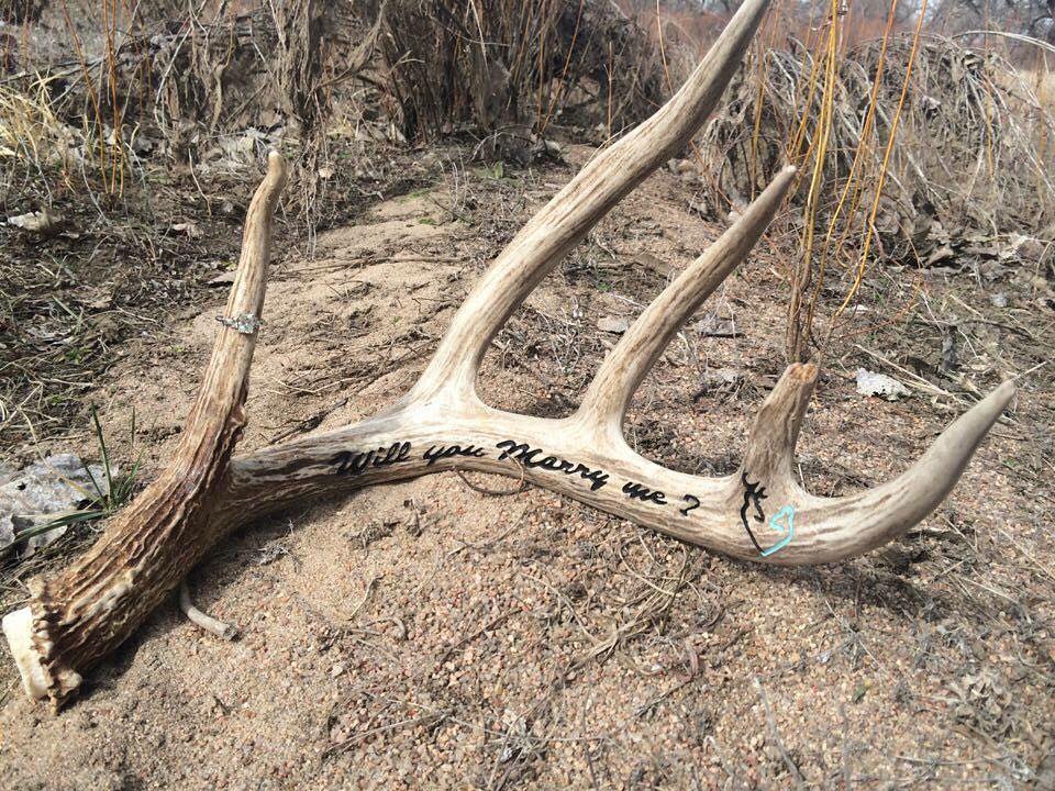 Remind us later and we will show you, perhaps, the worlds first ever proposal caught by a game camera. So cool! These are our type of people! We you all are, but these guys are too!