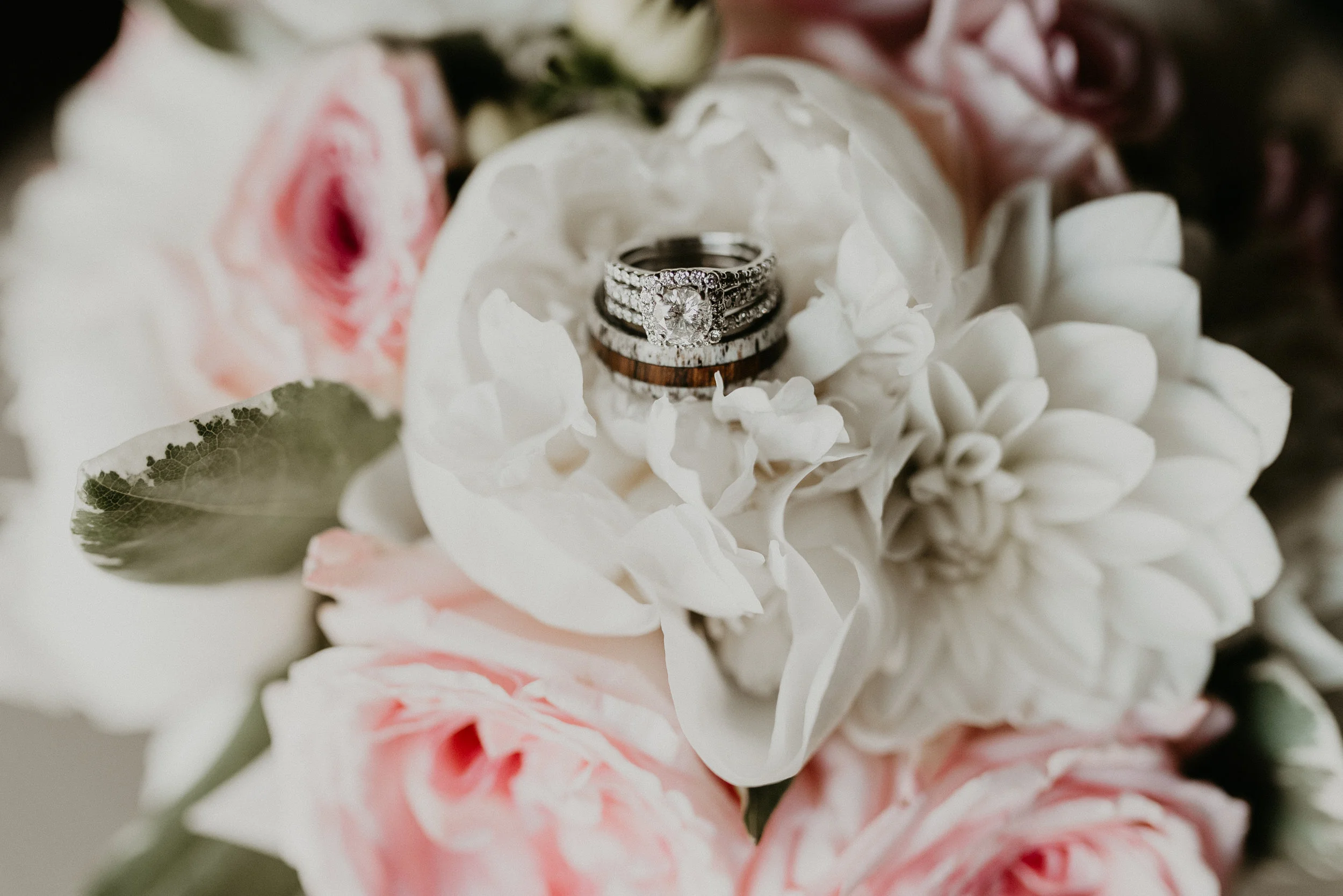 Unique Men's Wedding Band with Spalted Maple & Antler by Staghead Designs. Photo by Makayla Madden Photography.