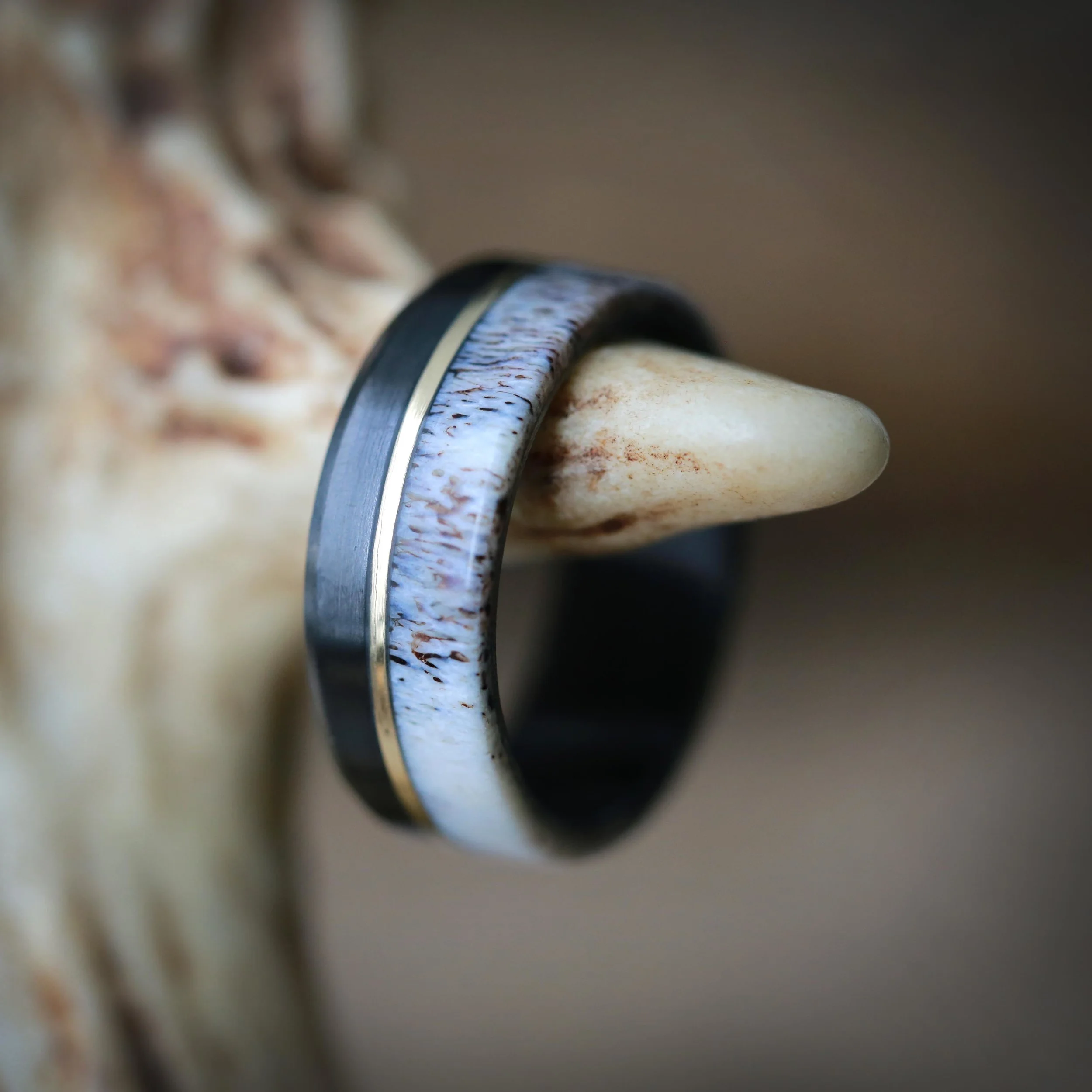 Custom Men's Wedding Ring with Antler & Gold. Handcrafted by Staghead Designs.