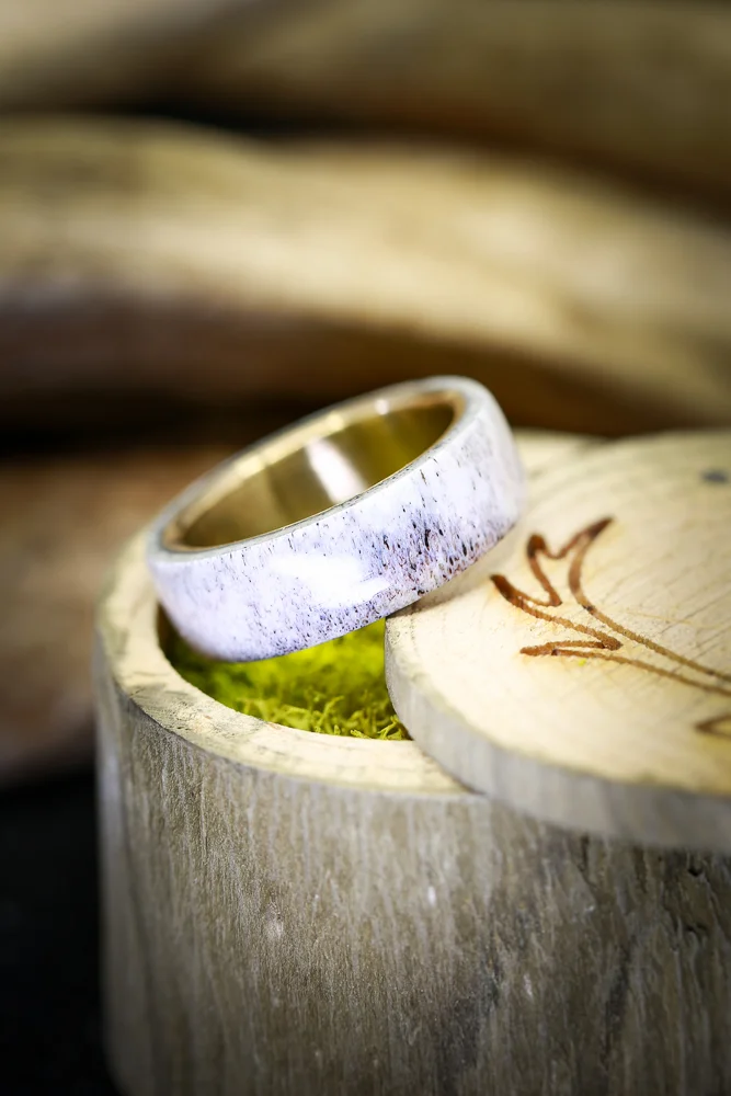 14K Yellow Gold and Antler Wedding Band for Men or Women. Handcrafted by Staghead Designs.