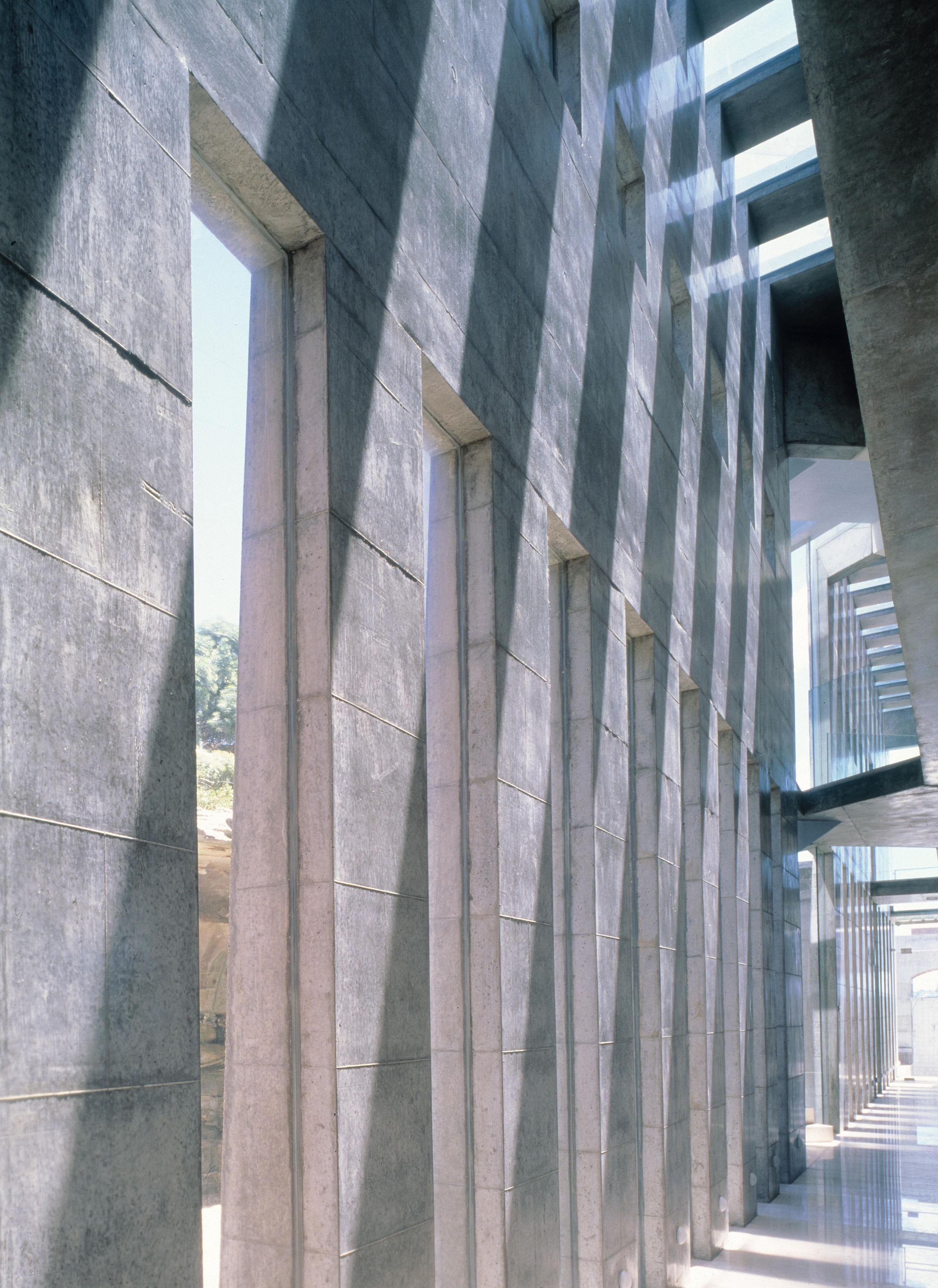 17 copy bunya.jpg