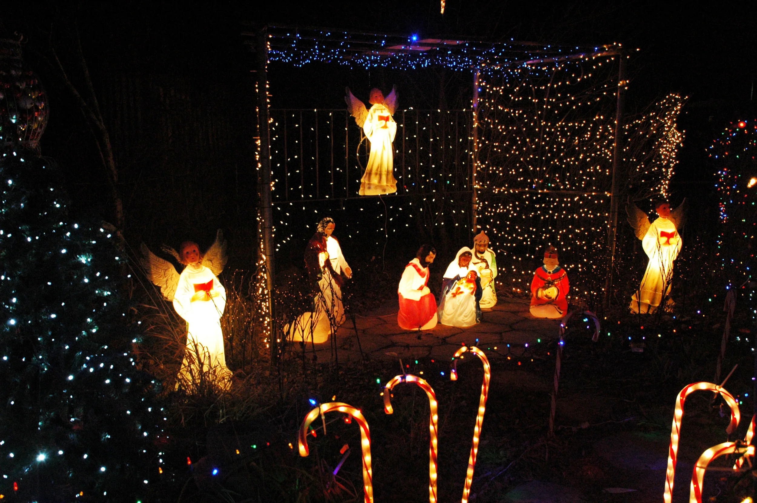 The nativity