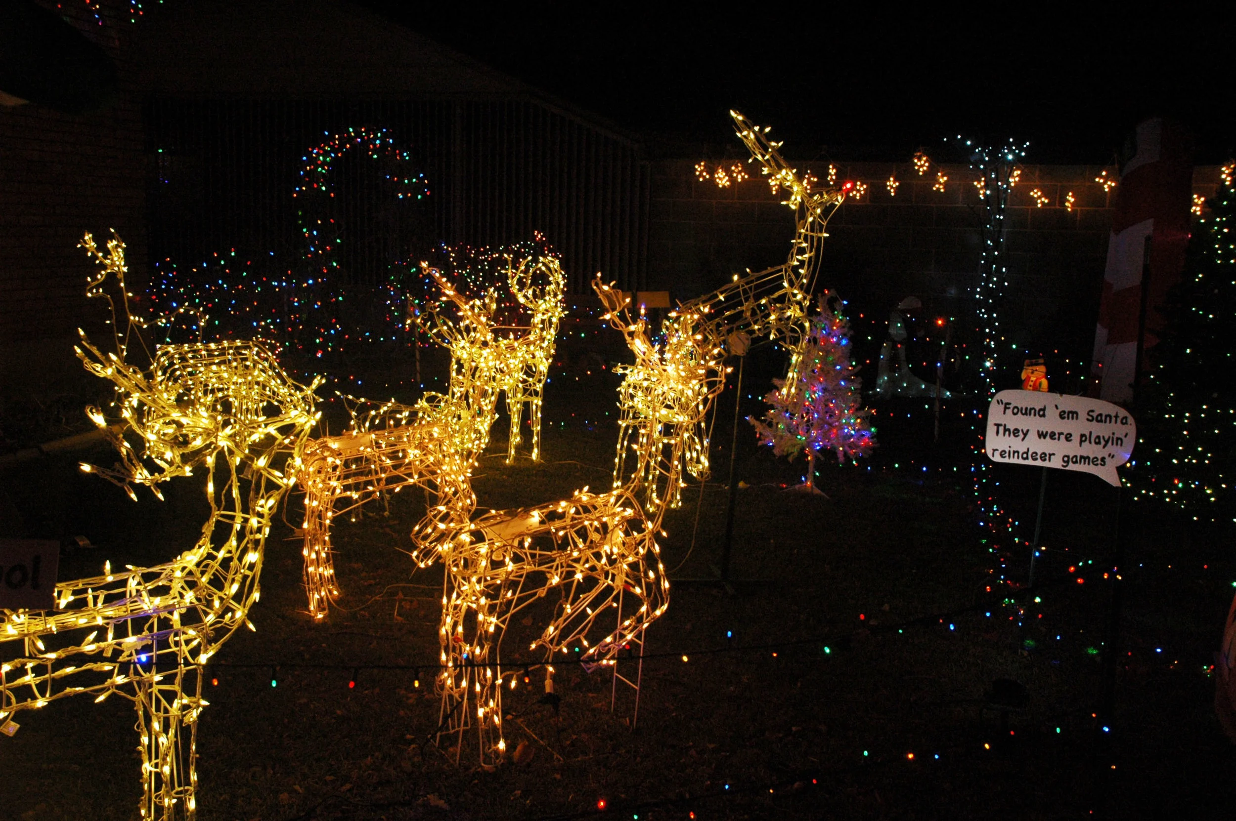Santa's reindeer