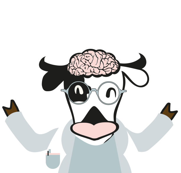 vacaquestions.gif