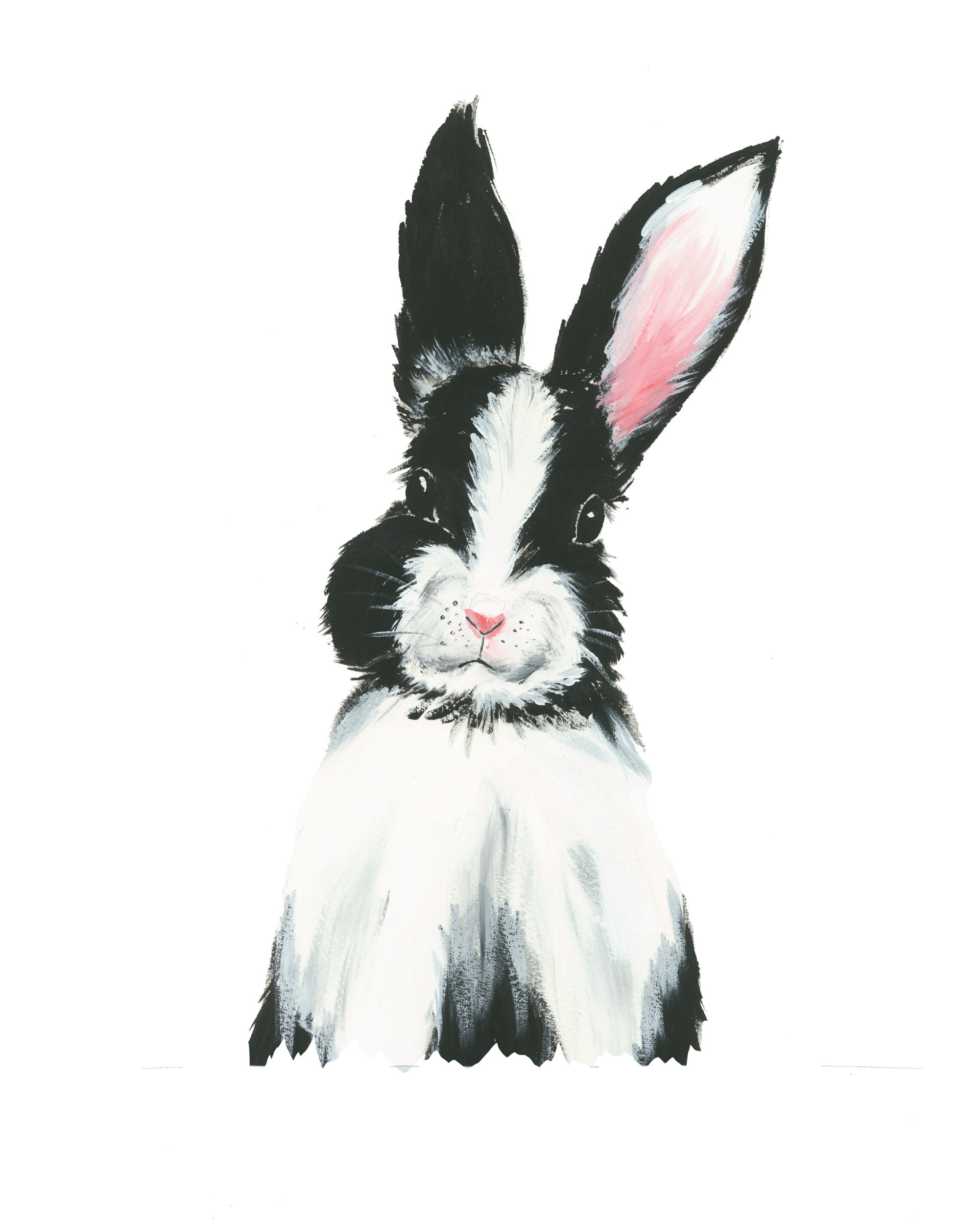 bunny.png