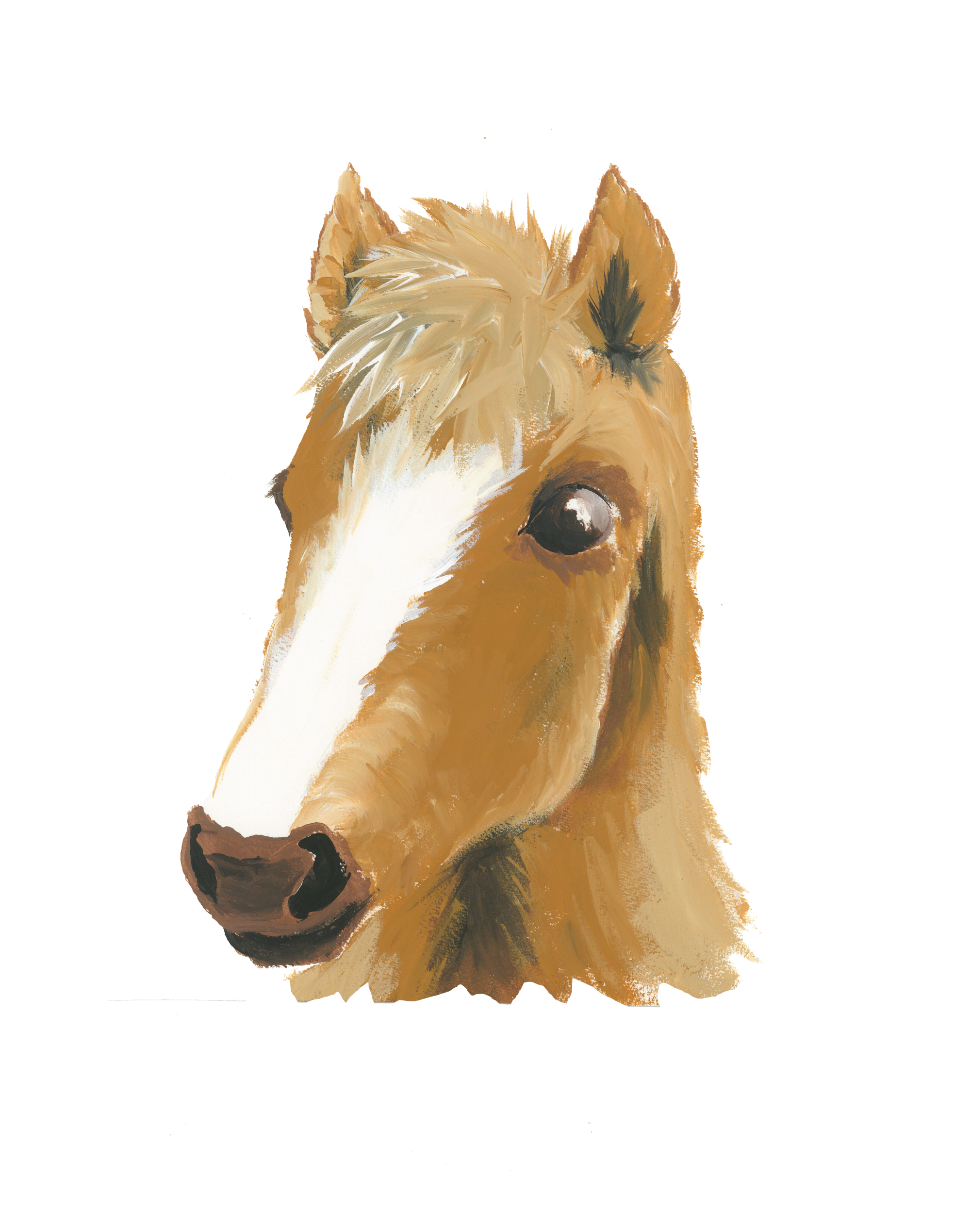horse.png