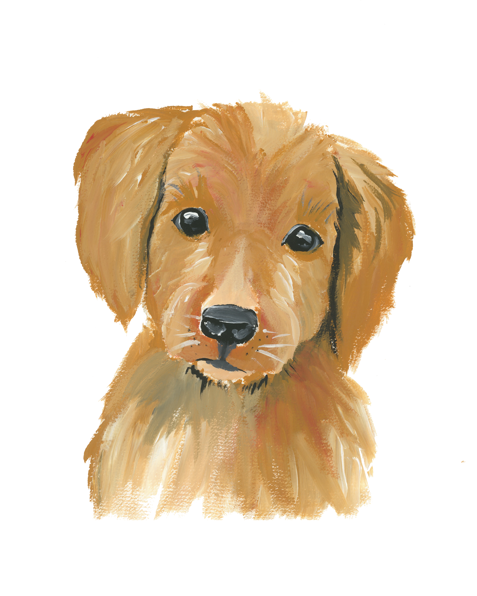 puppy.png