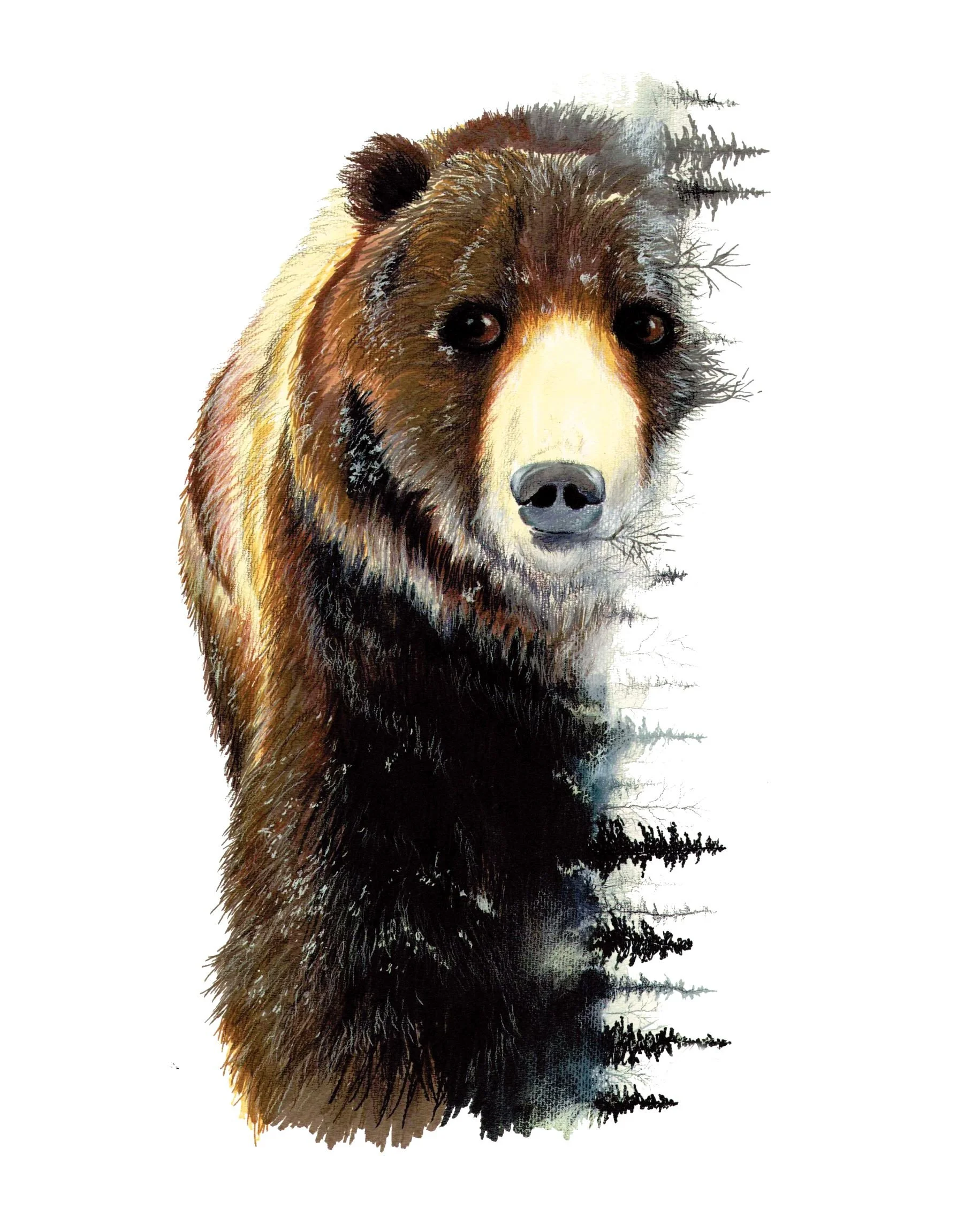 RBG BEARsmall.jpg