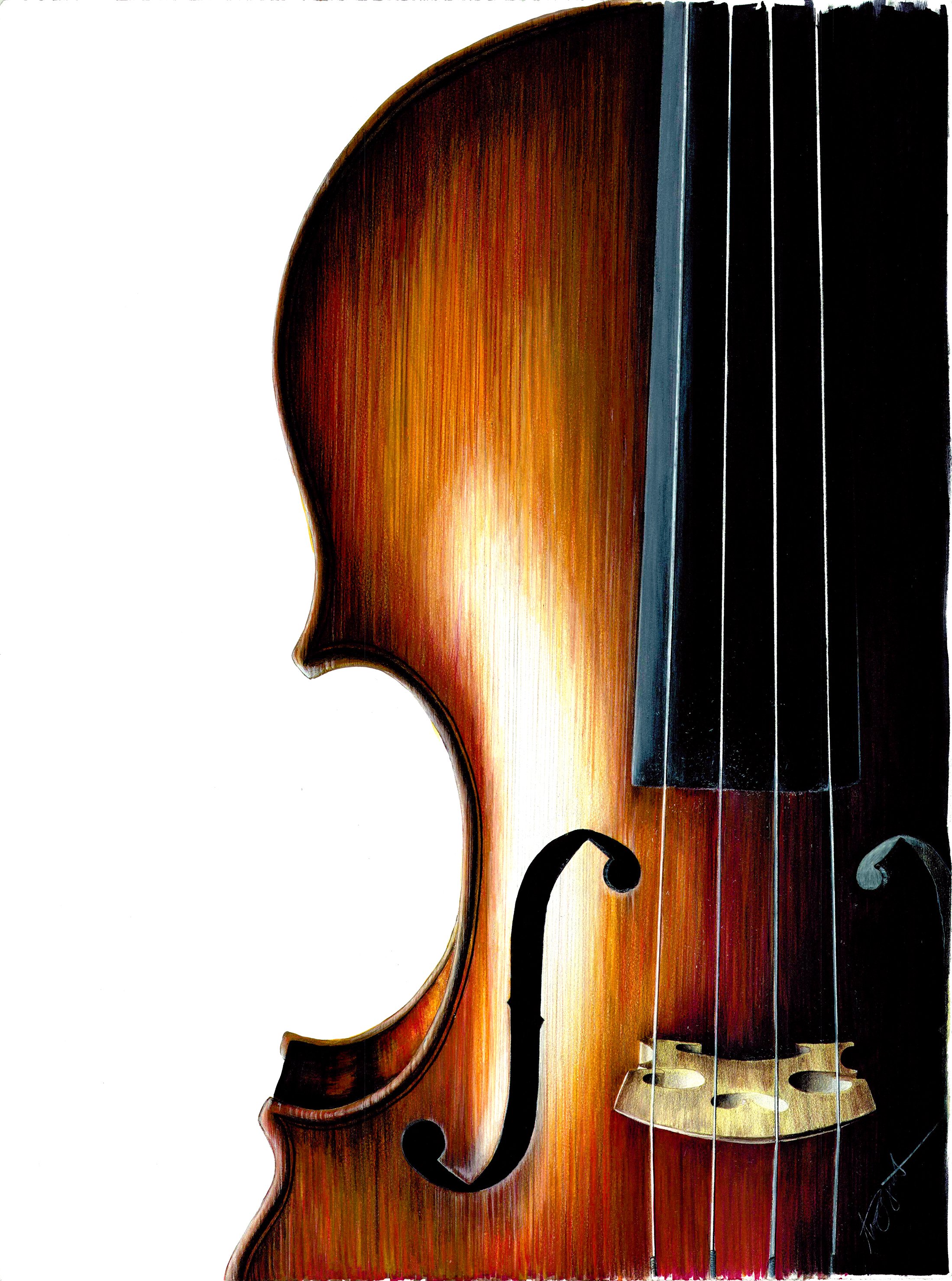 Violin white back small.jpg