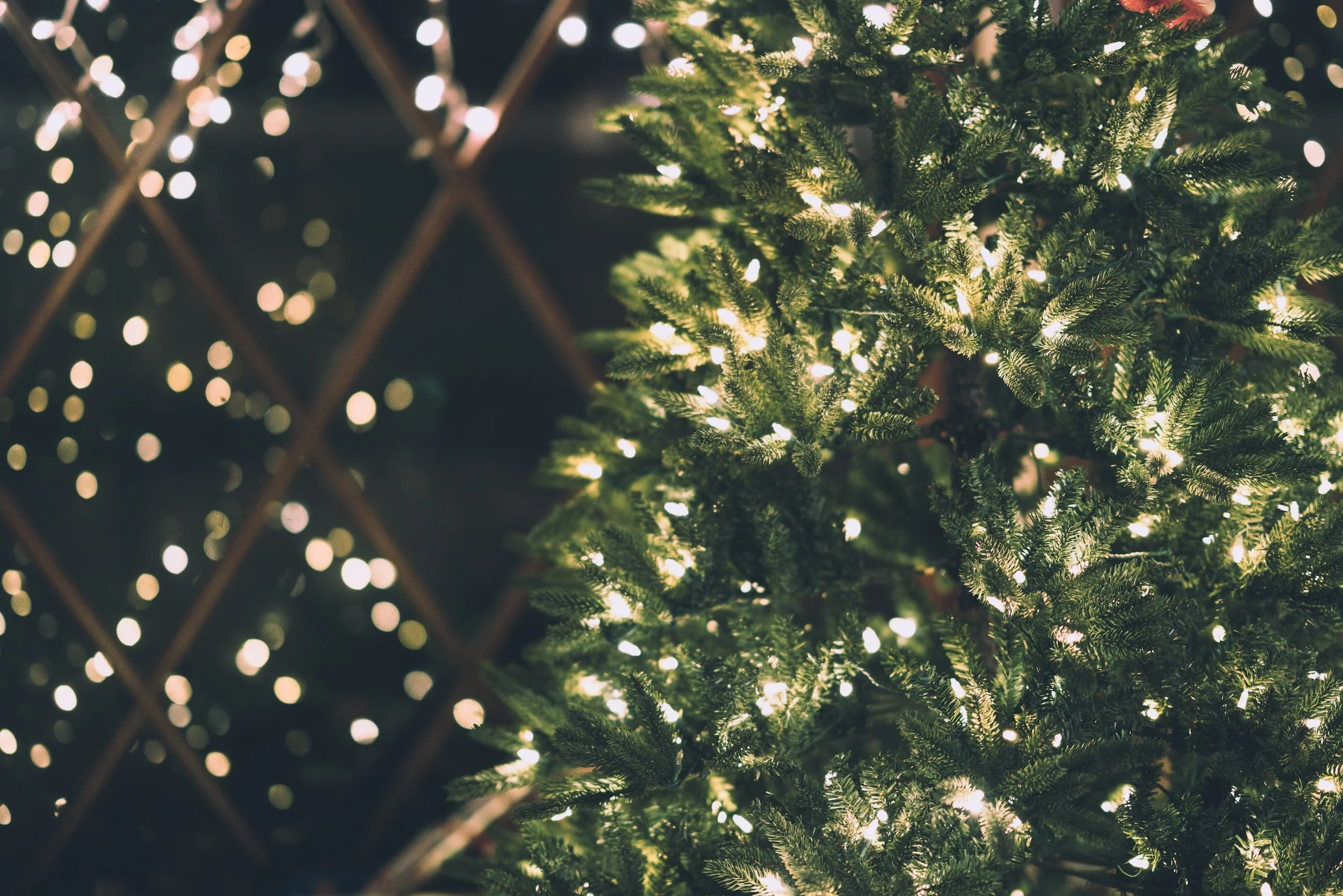 The Hwy 93 Indoor Christmas Vendor Show