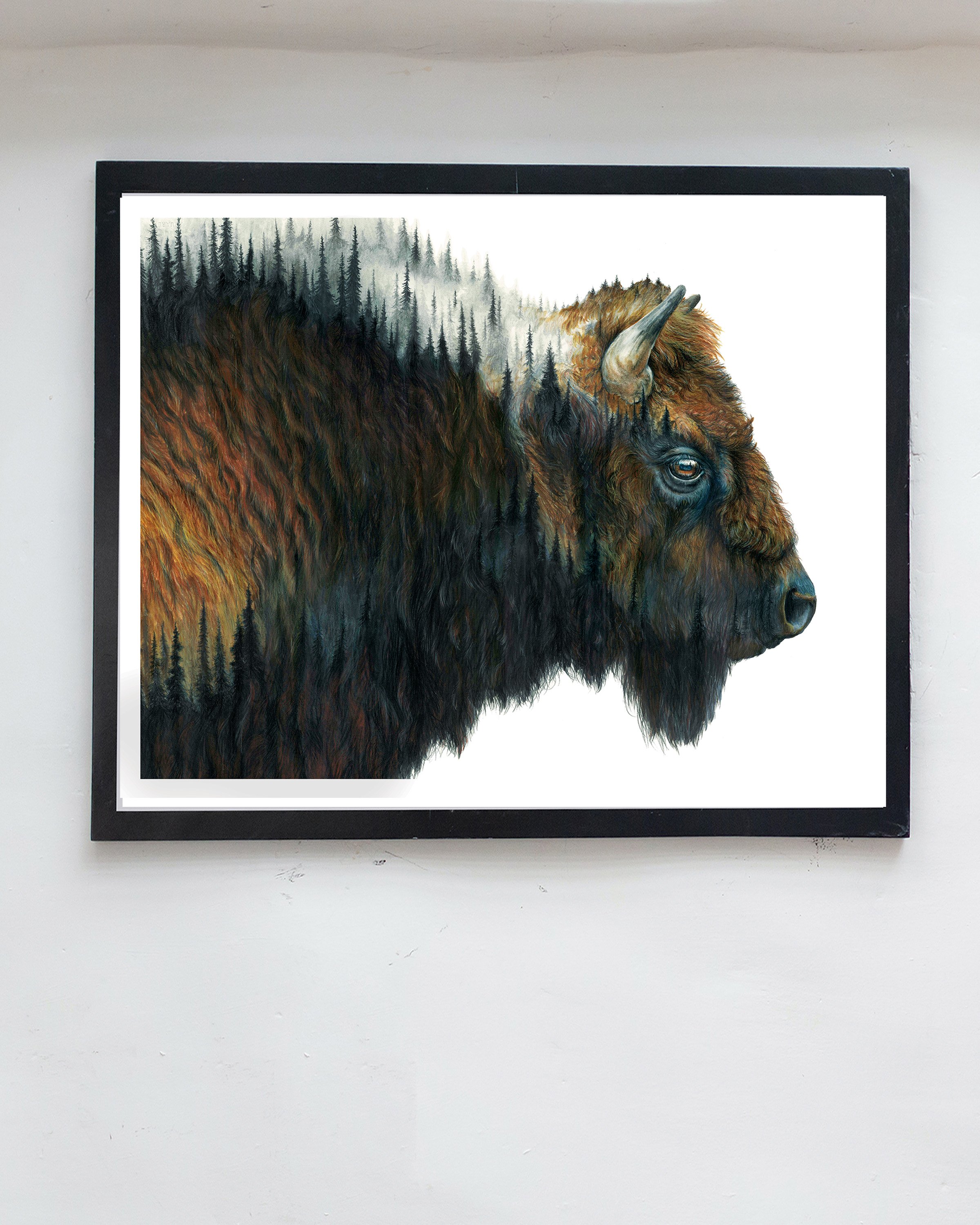 buffalo art print hanging on wall, bison wall art, buffalo fine art hanging on wall over couch