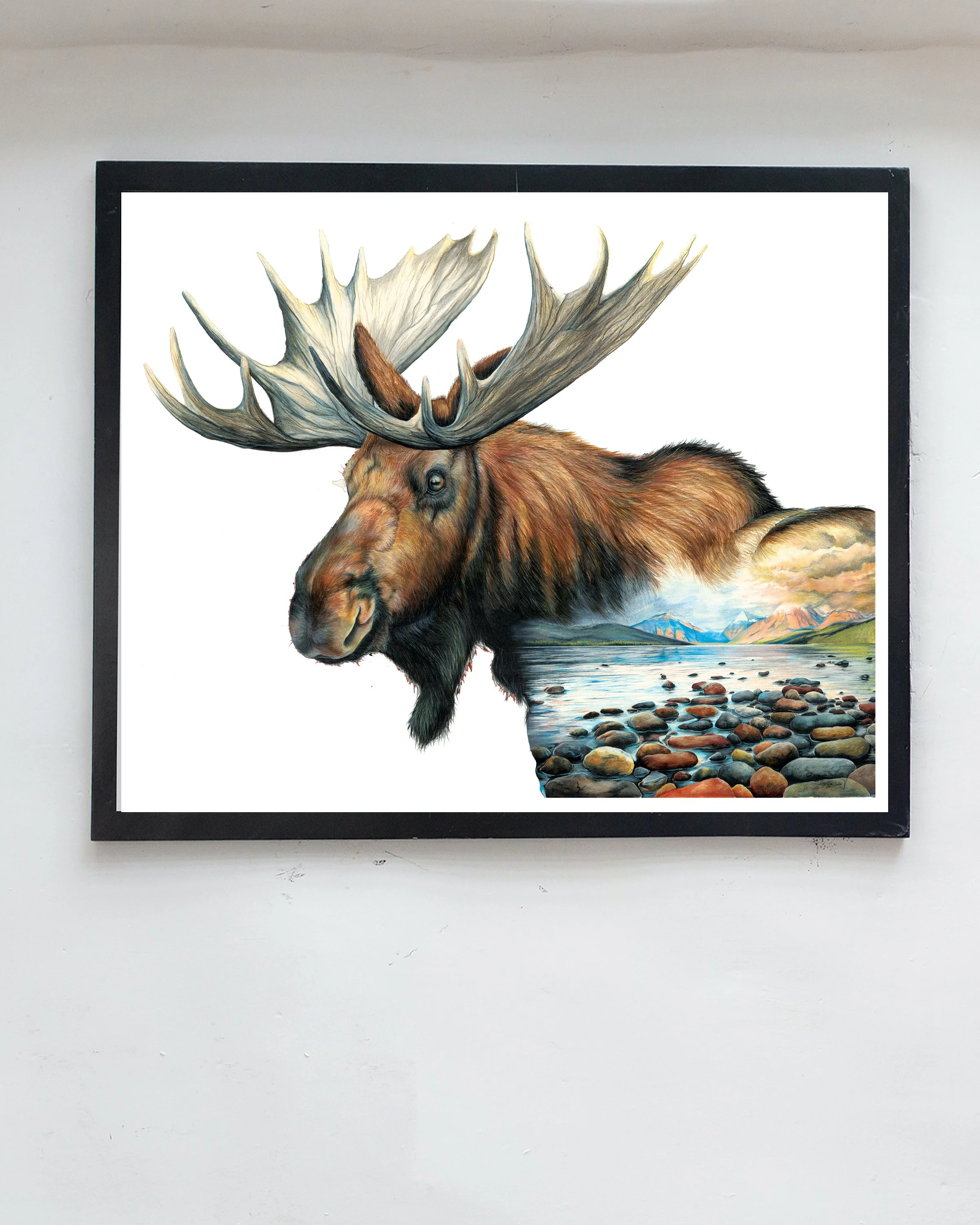 Moose art print framed hanging on wall, moose wall art, moose wall decor