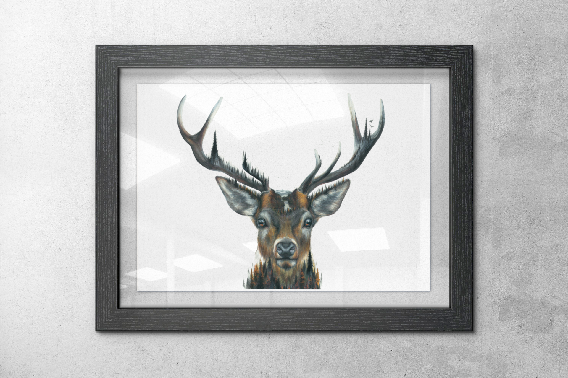 framed deer art print hanging on wall, glass frame, deer art
