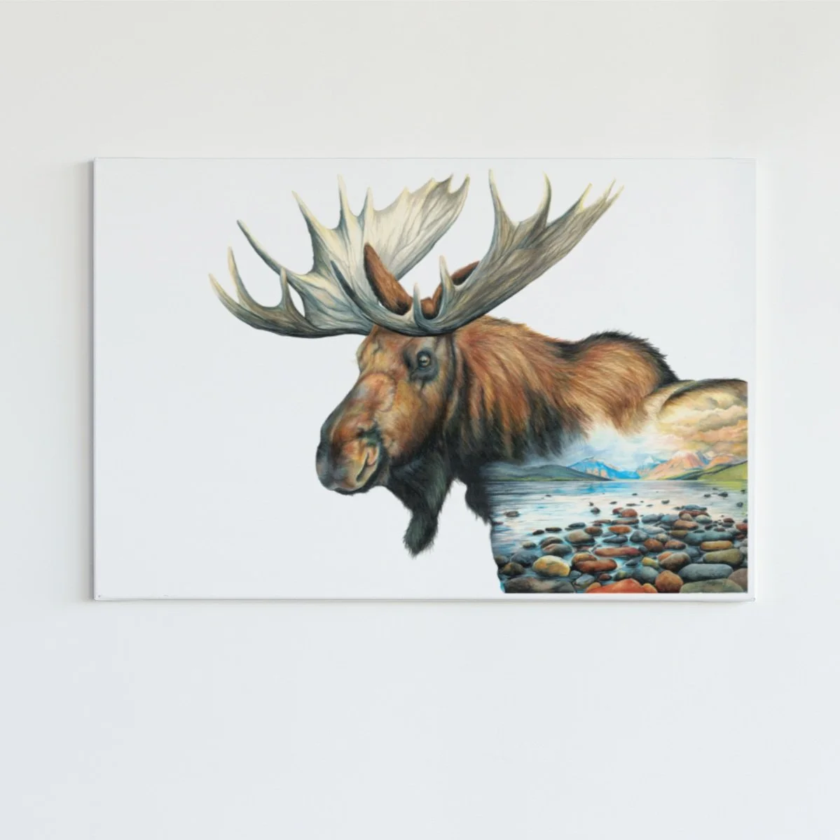 'BY STILL WATERS’ - NORTH AMERICAN MOOSE  Limited edition print series. 1-100 24”x36” prints.