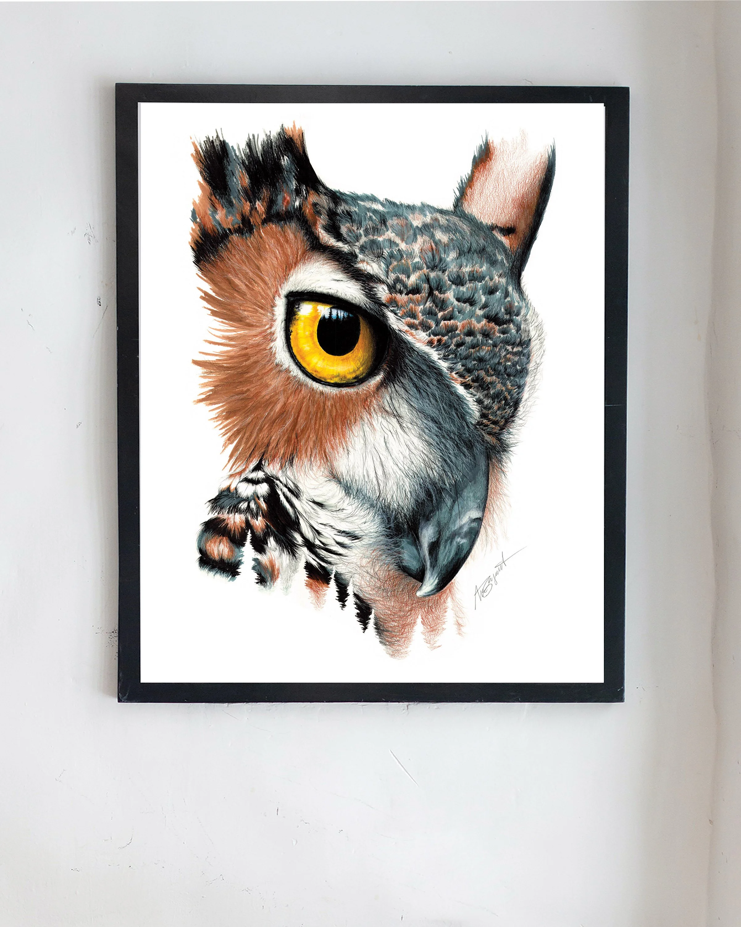 owl art print frame
