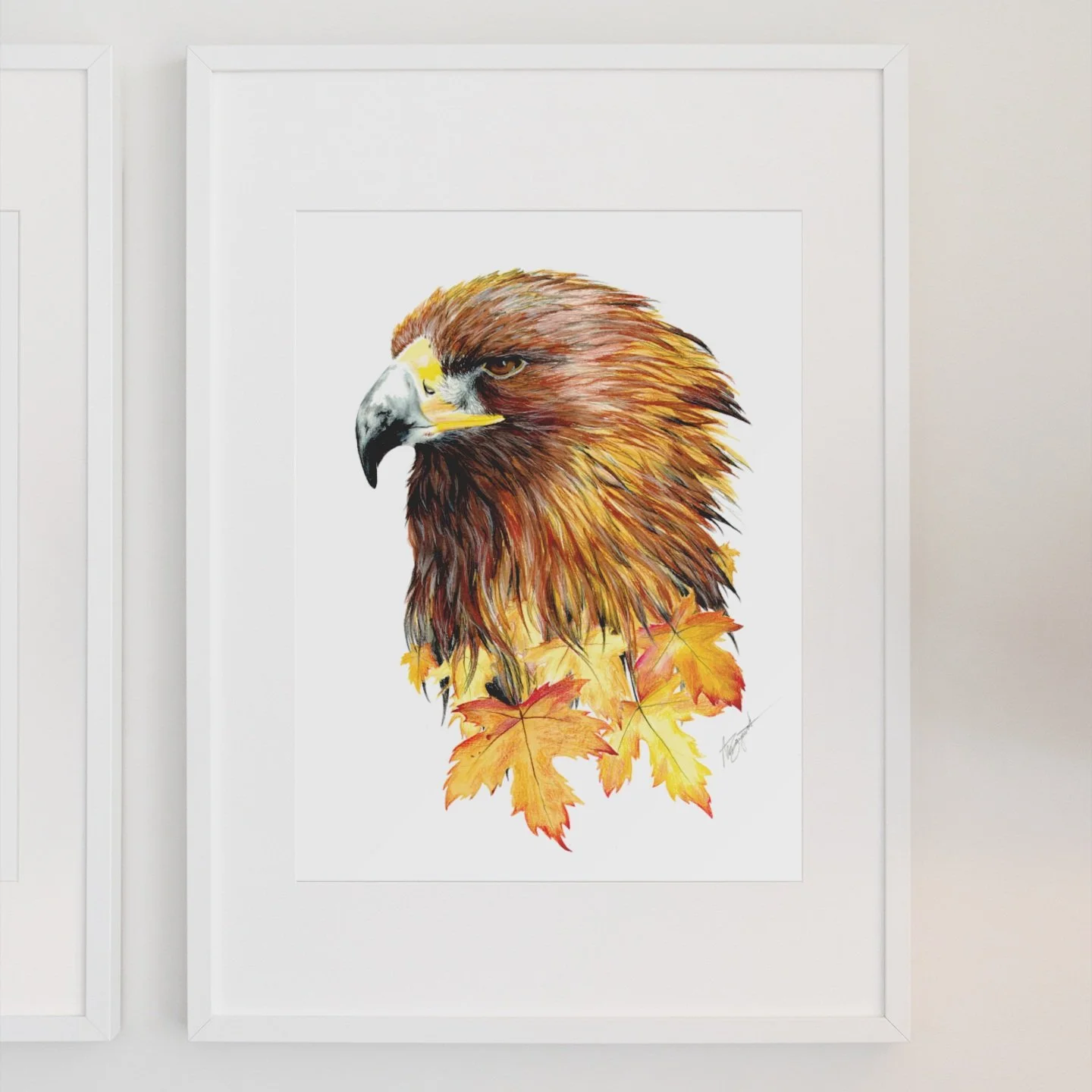 Golden Eagle Fine Art Print