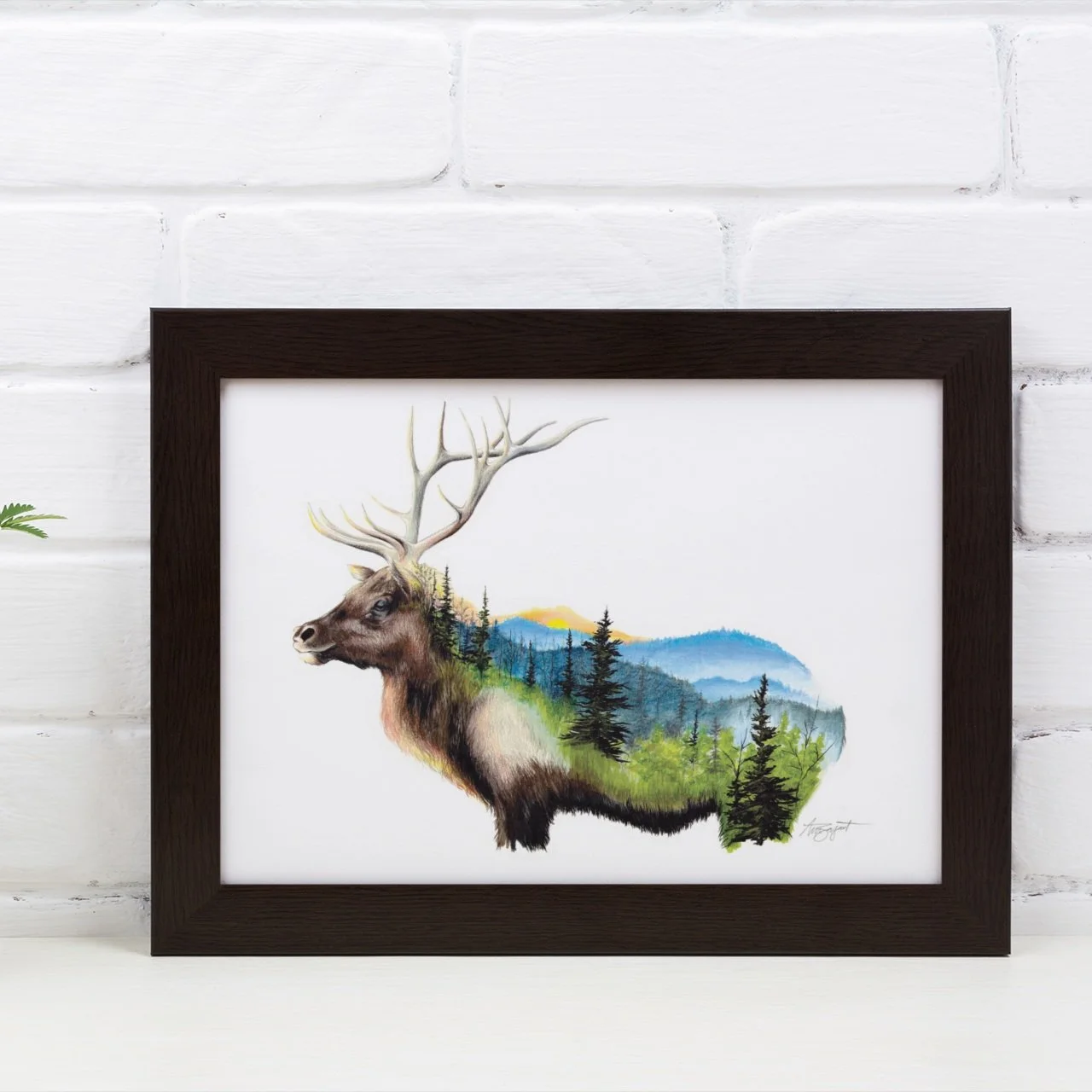 Rocky Mountain Elk Fine Art Print