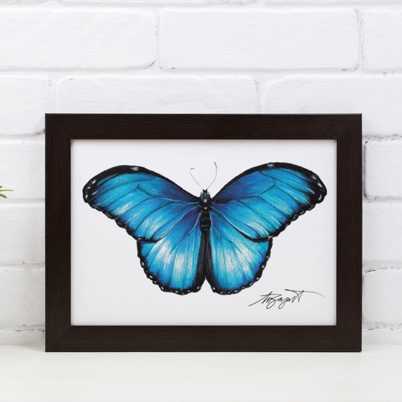 Blue Butterfly Fine Art Print