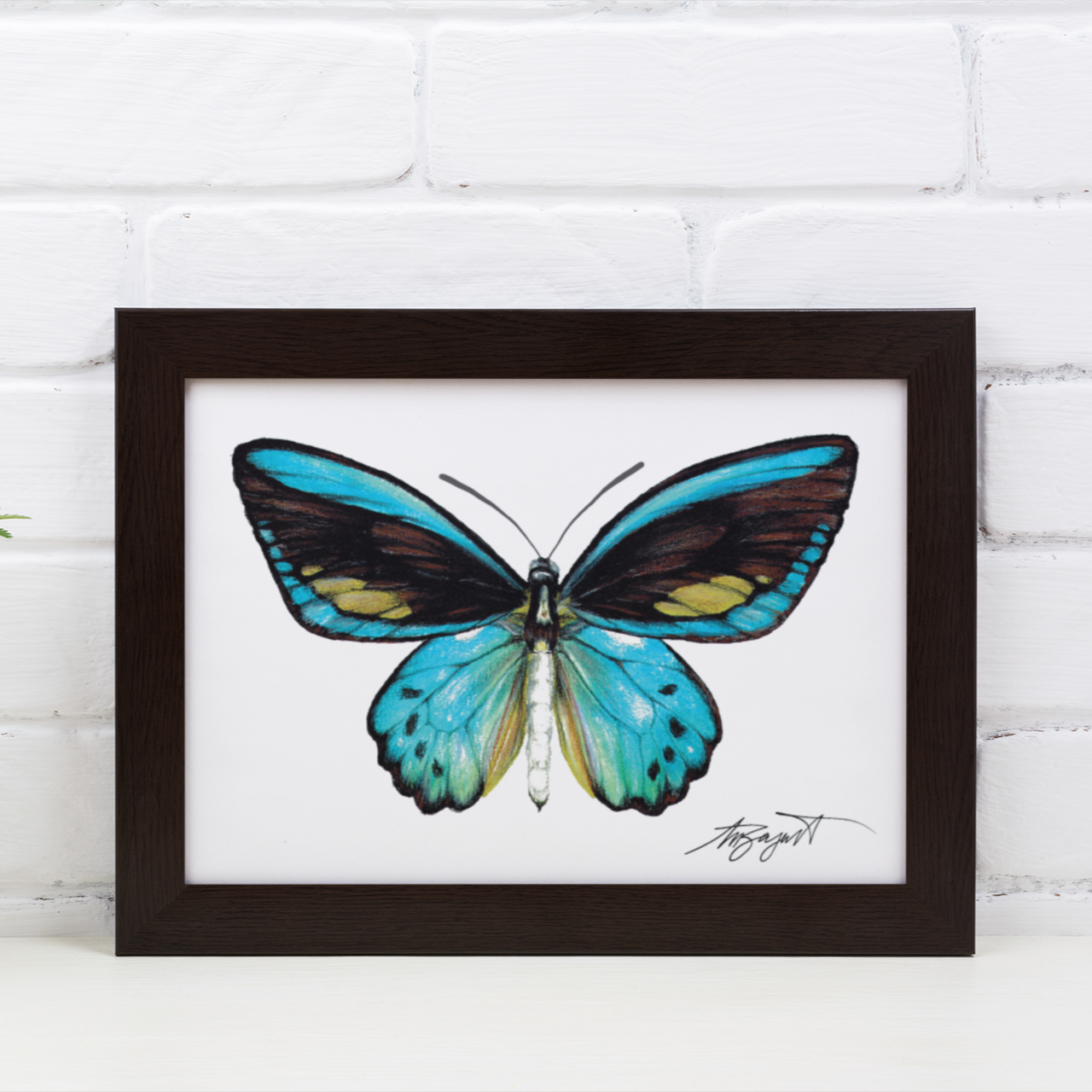 Teal Butterfly Fine Art Print