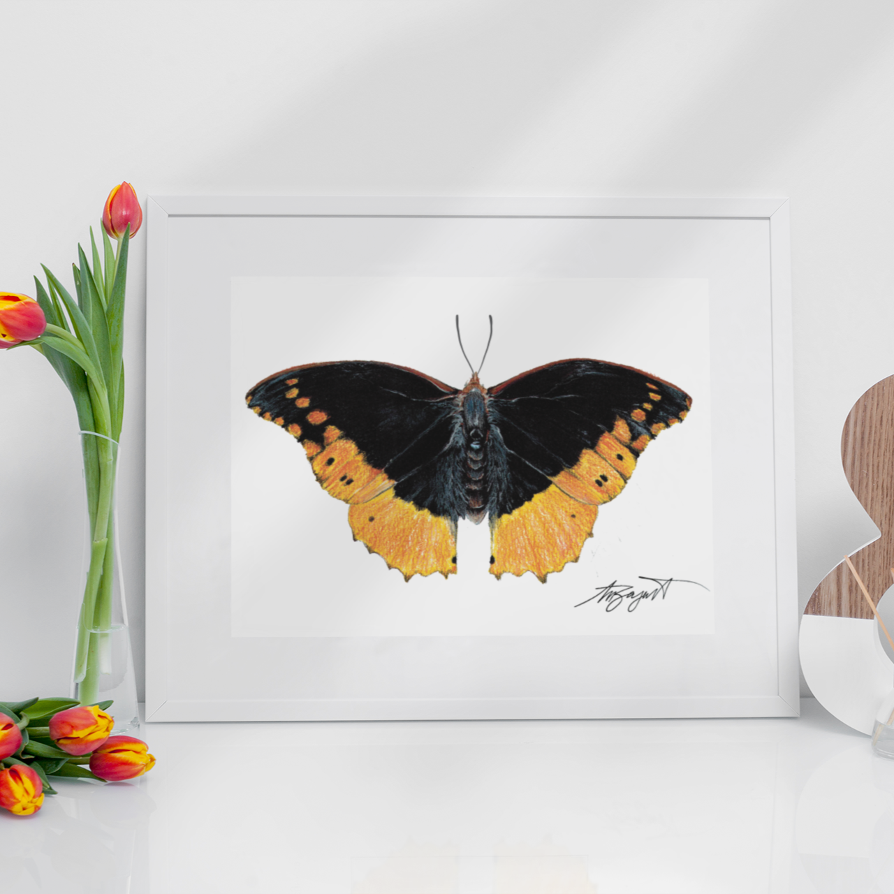 Orange Butterfly Fine Art Print