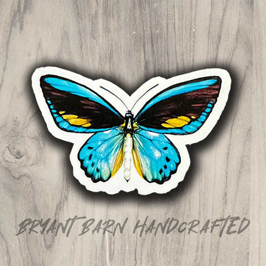 teal butterfly.png