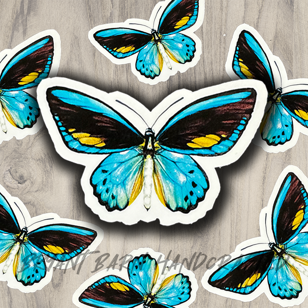 Teal Butterfly Vinyl Water Resistant Sticker for Tumbler, Bike, Laptop, Flask, Planner etc.