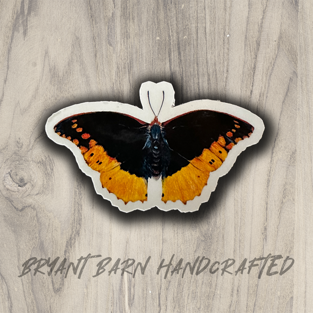 orange butterfly.png