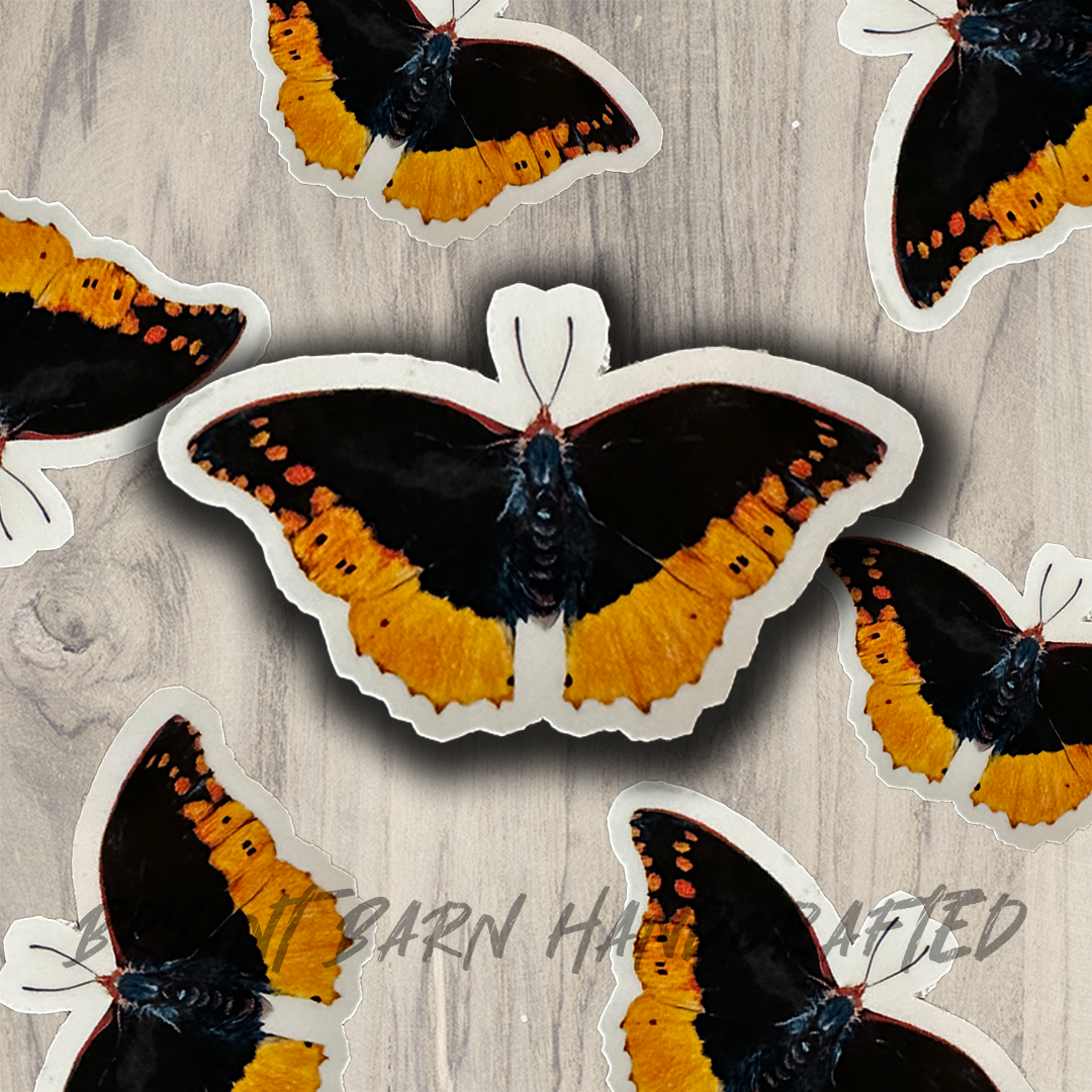 Orange Butterfly Vinyl Water Resistant Sticker for Tumbler, Bike, Laptop, Flask, Planner etc.