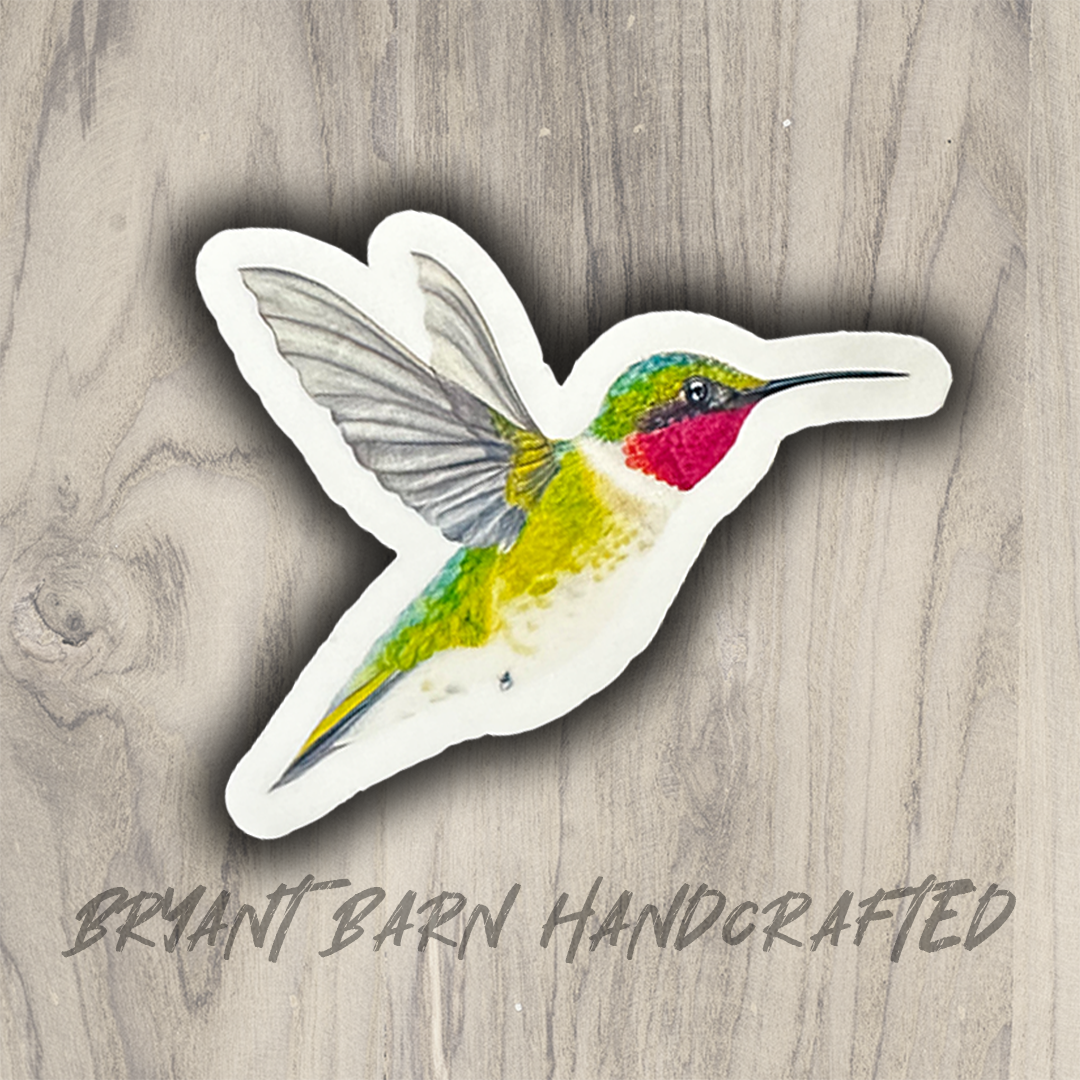 hummingbird.png