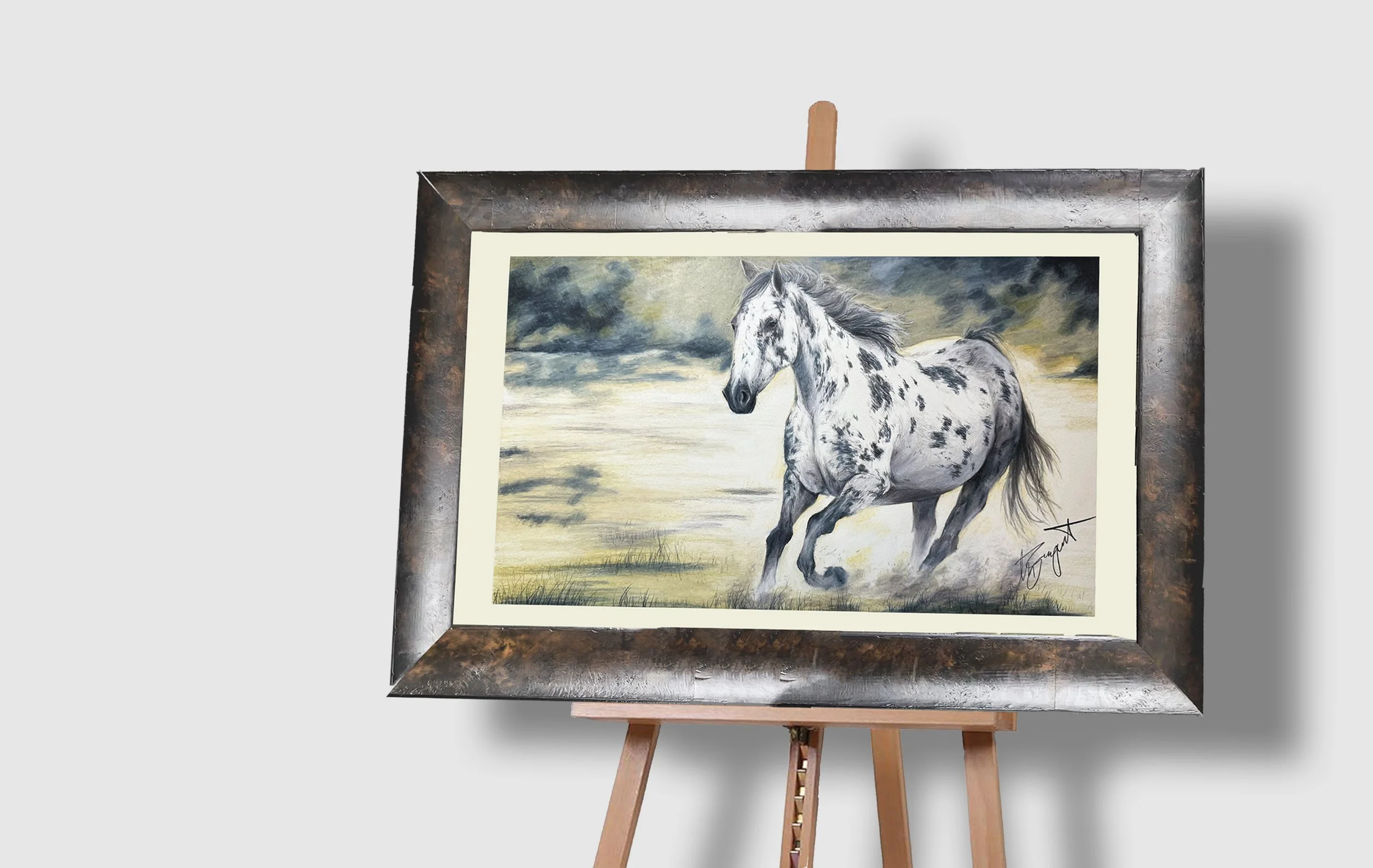Appaloosa Horse Fine Art Print