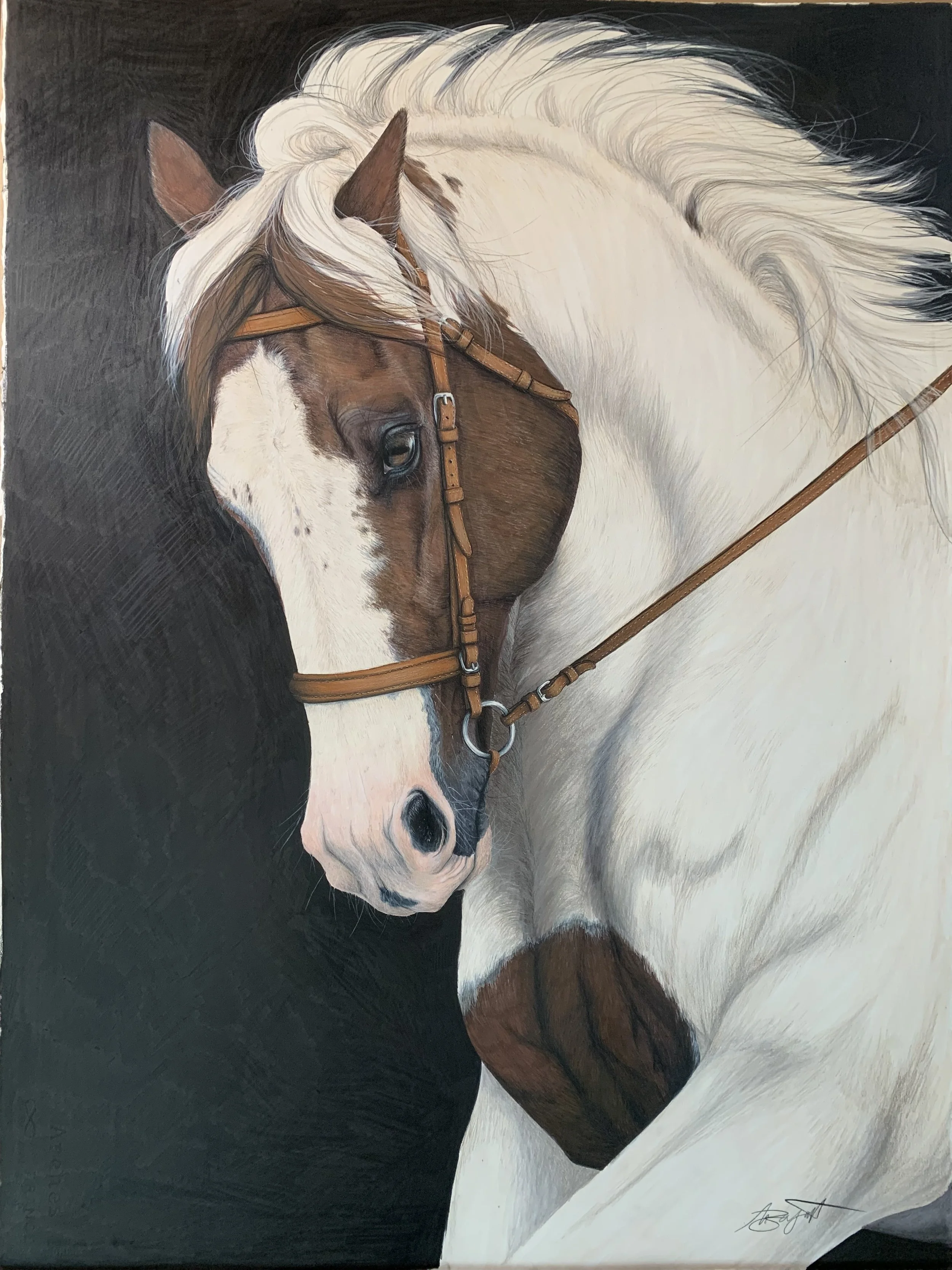 Horse running, paint horse drawing