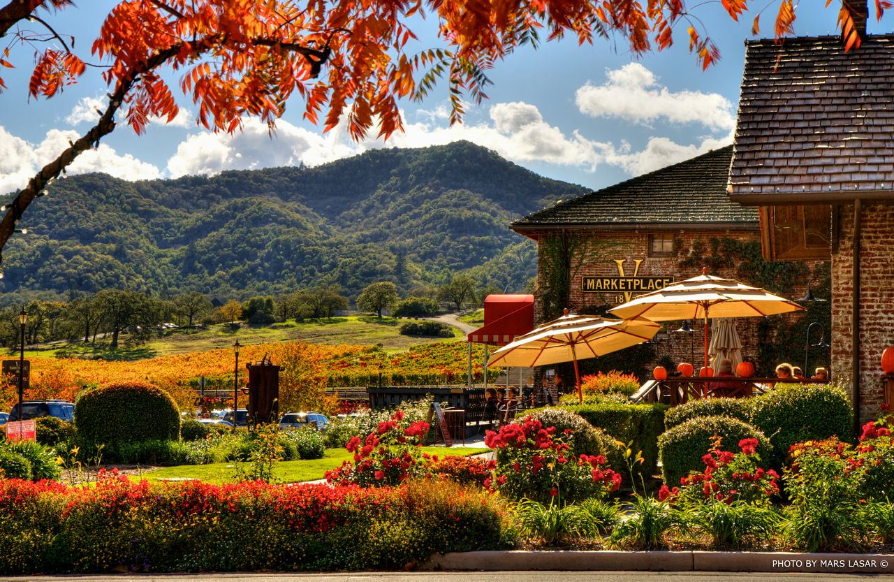 Yountville-Scenic-Shot.jpg