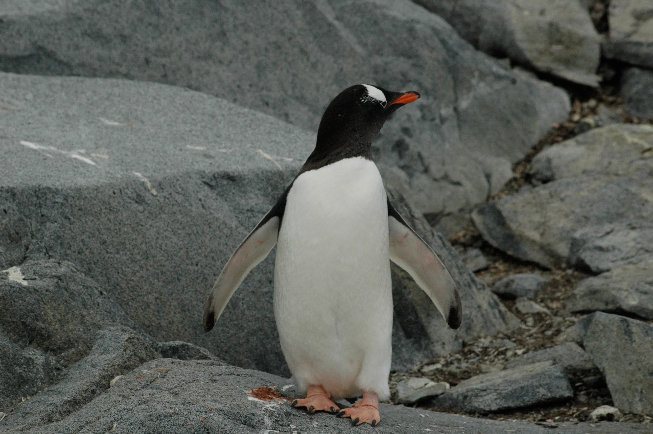 DSC_0076_2.jpg