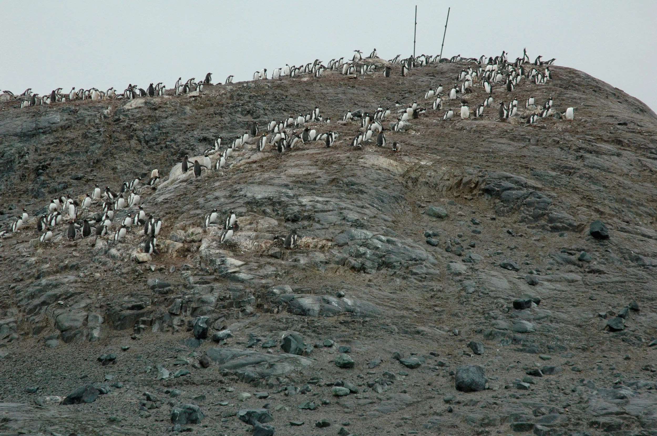 DSC_0190_2.jpg