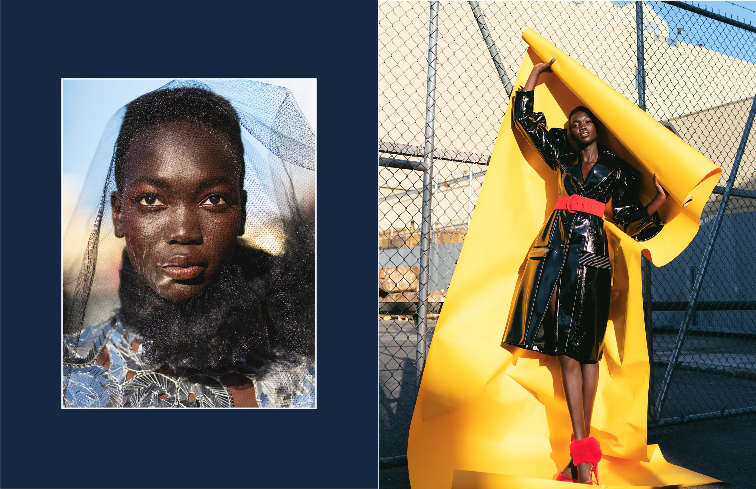 Risk VI - Cover  2 - Siriano Effect15.jpg